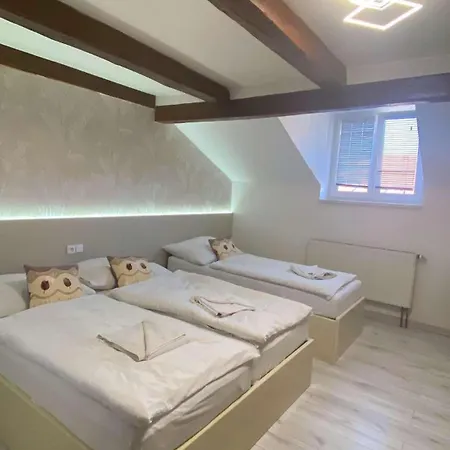 U Radnice As Hotel Aš